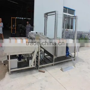 Palm Date Washing Sorting Machine thumbnail-6