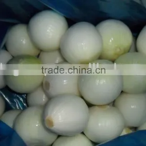 Export Fresh Onion thumbnail-1