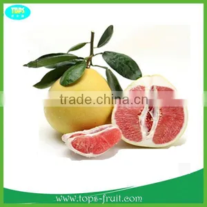 2015 New Arrival Sweet Red Honey Pomelo thumbnail-1