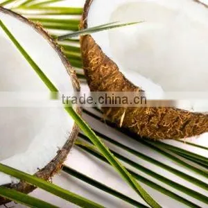 Virgin Coconut Oil thumbnail-1