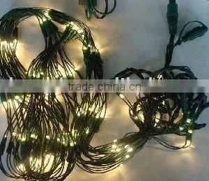 Warm White Net Light thumbnail-1