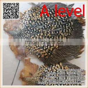 Party Headdress Clothes Decoration Jungle Cock Quality Choice thumbnail-2
