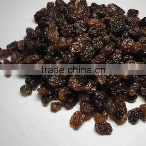 Raisin thumbnail-3