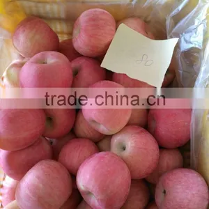 Common Cultivation Type and Pome Fruit Product Type Fresh Apple Fruit for Sale thumbnail-5