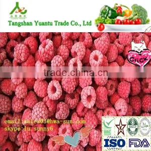 Frozen Raspberry Best Selling Frozen Fruits thumbnail-1