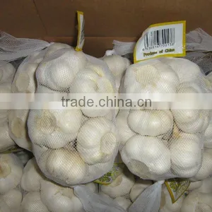 Pure White Fresh Garlic thumbnail-1