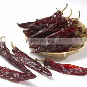 New Design Dry Cleaning Paprika thumbnail-1