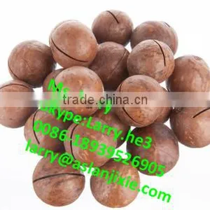 Macadamia Nut Cracker Machine/macadamia Nut Cracking Machine thumbnail-6