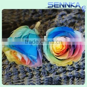 Natural Preserved Fresh Rose Wholesal Flower Multi Colored Preserved Roses thumbnail-6