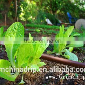 Drip Tape Irrigation Line 16mil Trickle Soaker Garden Hose Trickle Tape thumbnail-2
