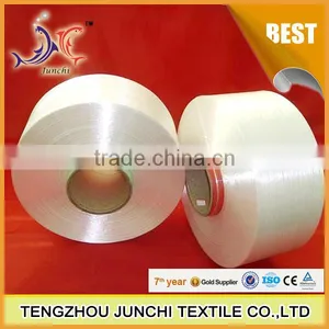 100% High Tenacity Polyester Yarn 500D-3000D for Fishing Twine thumbnail-4