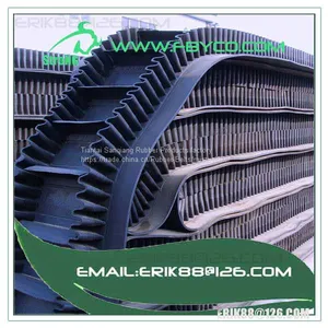 ee Conveyor Belt thumbnail-1