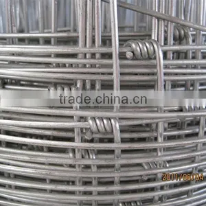 Sheep Wire thumbnail-3