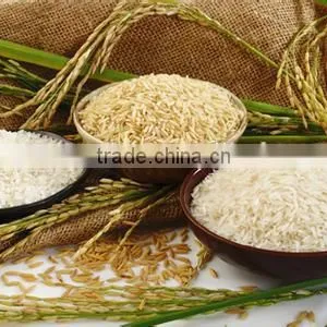Wholesale Cheap First Grade Instant Protein Nutritional Rice Machine thumbnail-6
