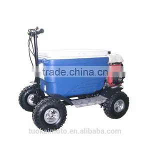Hot Sale Gas Cooler Scooter for BBQ/43cc EPA Ice Chest Scooter (TKS-S43) thumbnail-4