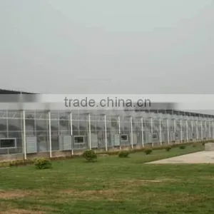Polycarbonate Sheet Greenhouse-6 thumbnail-1