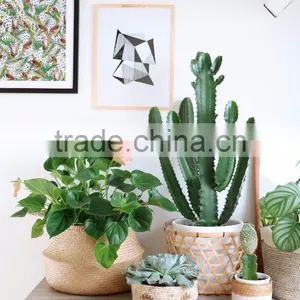 Indoor Plants Basket/Seagrass Storage Basket/Seagrass Belly Basket thumbnail-6