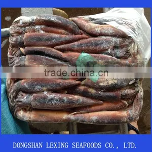 Best Frozen Illex Argentinus Squid Price thumbnail-1