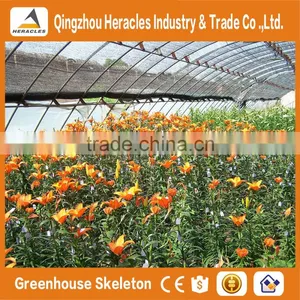 Heracles Trade Assurance Factory Price Sunlight Greenhouse thumbnail-1