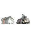 Alternator thumbnail-1