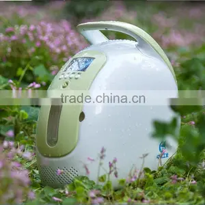 Portable Oxygen Concentrator Generator 90% Purity 1L/min 24Hr thumbnail-1