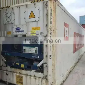 40 Foot Freezer Container thumbnail-4