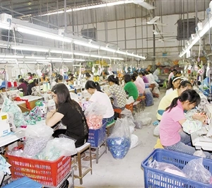 Huizhou QiMei Toys Co.,Ltd company overview - view 1 thumbnail