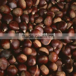 Chinese Fresh Chestnut thumbnail-1