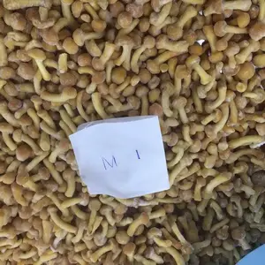 Hebei Hangen Import And Export Co.,ltd company overview - view 1 thumbnail