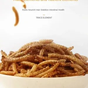 Dried Mealworm Pet Food Yellow-mealworms thumbnail-3