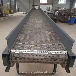 Plastic Chain Plate Conveyor Flat Top Chain Anti-Static Perforation Single Hinged Straight Stainless Steel Chain Conveyor System thumbnail-2