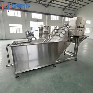 Industrial Bubble Washing Machine SUS304 Fruit Vegetable Washer With Elevator Spray Rinse High Efficiency Food Processing Equipment thumbnail-4