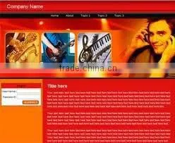 Professional B2B B2C C2C Website Design thumbnail-1