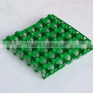 Chicken Egg Trays thumbnail-1