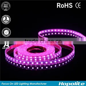 12v Rgb Strip Light Flexible Led Strip 5050 Waterproof 5050 Smd thumbnail-4