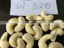 High Quality Vietnam Cashew Kernels Grade WW320, WW450, WS thumbnail-2