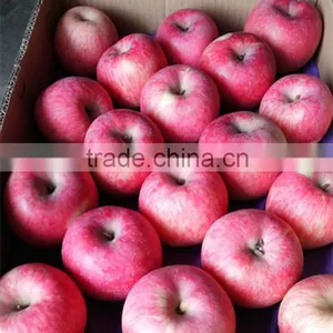 Fuji Apples Fresh Fuji Apple thumbnail-3