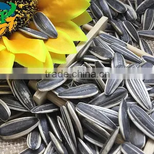 Best Cheap Sunflower Seed 601 Get Latest Price thumbnail-1