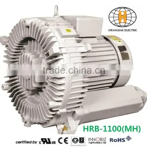 Three Phase Air Ring Blower Motor thumbnail-1