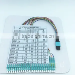 MPO to LC 24 Cores Fan-out Fiber Optic Patch Cord thumbnail-3