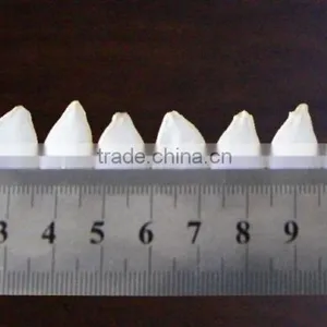 Snow White Pumpkin Seeds , Pumpkin Seeds in Shell thumbnail-1