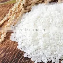 JAPONICA/SUSHI/CALROSE RICE- Sales4@ Vinarice.vn - +84 918205076 thumbnail-2