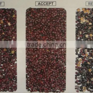CE Certificate Ccd Camera Small Capacity Color Sorter Machine thumbnail-1