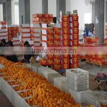Quzhou Jianong Fruit And Vegetable Trading Co., Ltd. company overview - view 2 thumbnail