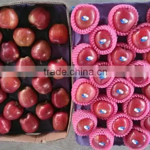 Fresh Style and Apple Type Fresh Apple From China 2014 thumbnail-1