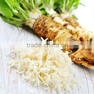 Competitive Price Fresh Horseradish thumbnail-3
