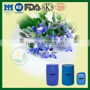Pure Borage Oil (GLA) Hot Selling for Whole Sale thumbnail-1