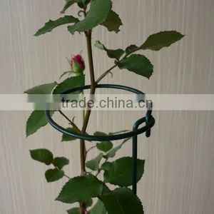 Garden Plant Gathering Rings thumbnail-3
