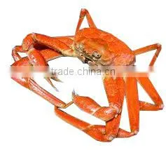 Chinese Chitosan Oligosaccharide thumbnail-2