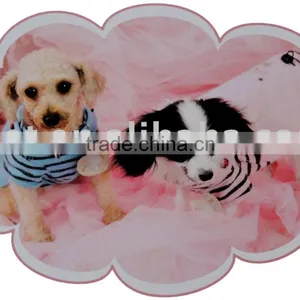 Pet Product thumbnail-1